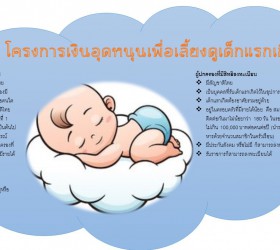 โครงการเงินอุดหนุนเพื่อเลี้ยงดูเด็กแรกเกิด