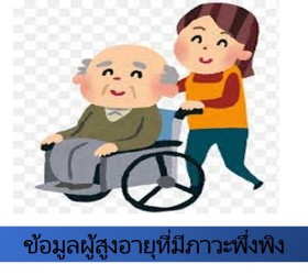 ข้อมูลผู้สูงอายุที่มีภาวะพึ่งพิง