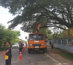 ตัดกิ่งต้นไม้ที่จะเกิดอันตรายกับนักเรียนโรงเรียนบ้านใจดี